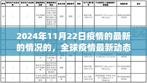 全球疫情最新動(dòng)態(tài)，聚焦2024年11月22日疫情最新進(jìn)展與最新情況