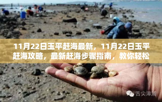 11月22日玉平趕海最新指南，輕松掌握趕海技巧與攻略