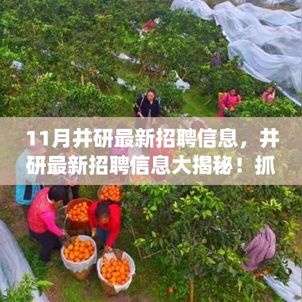 井研最新招聘大揭秘，抓住職場新機(jī)會(huì)，開啟人生新篇章！