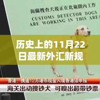揭秘歷史重要日子，最新外匯新規(guī)的深遠影響（11月22日篇）