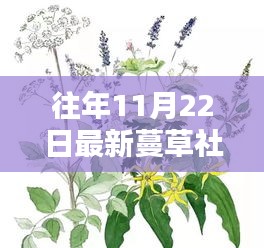 蔓草社區(qū)，記錄溫馨日常的快樂(lè)時(shí)光（附2017年11月22日精彩瞬間）