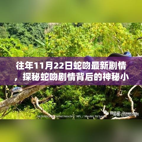 探秘蛇吻劇情背后的神秘小巷，特色小店揭秘往年最新劇情