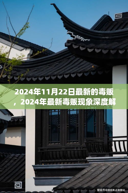 深度解析，最新毒販現(xiàn)象與趨勢(shì)預(yù)測(cè)（2024年毒販報(bào)告）
