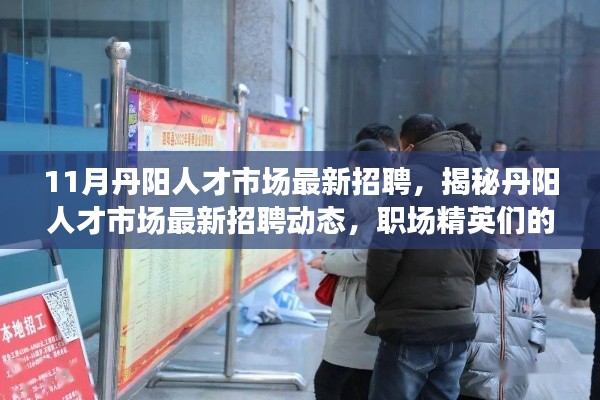 丹陽人才市場最新招聘動態(tài)揭秘，職場精英十一月求職指南