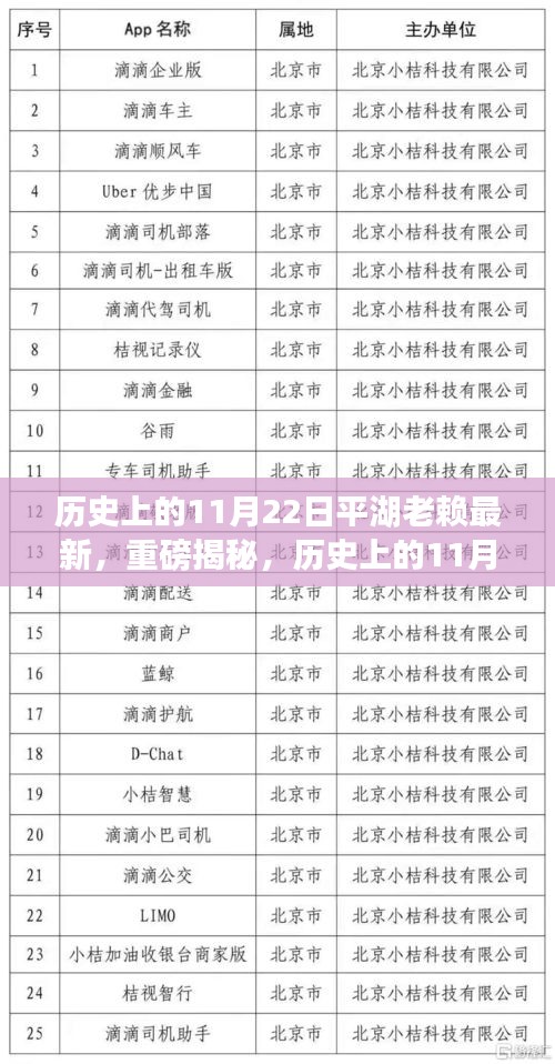 平湖老賴最新動(dòng)態(tài)揭秘，歷史上的11月22日重磅回顧與最新進(jìn)展
