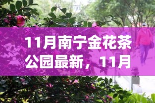 11月南寧金花茶公園，絢爛茶花盛宴啟幕，探秘之旅等你來！