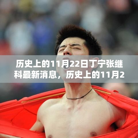歷史上的11月22日，丁寧與張繼科的最新消息概覽