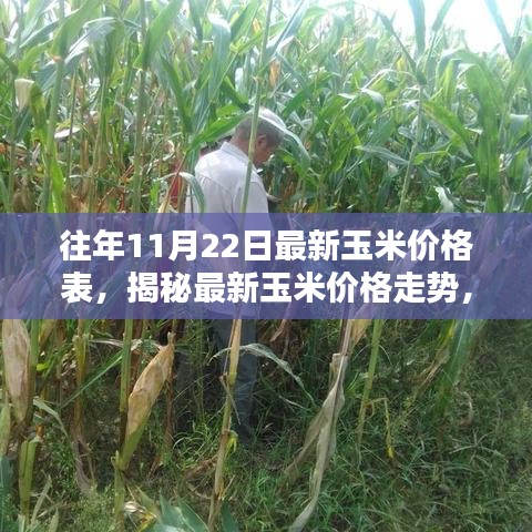 往年11月22日玉米價格深度解析，最新走勢與價格表揭秘