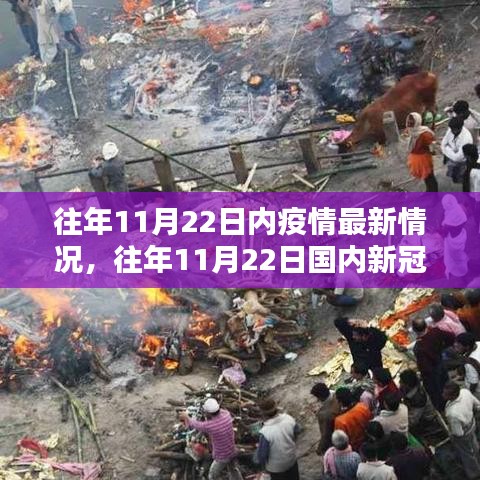 往年11月22日國內(nèi)外疫情最新動態(tài)及詳解指南