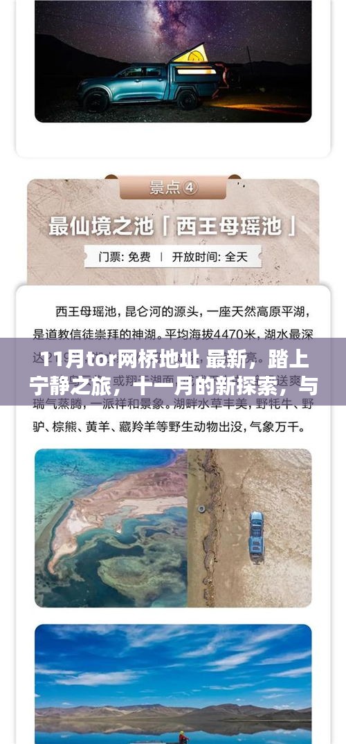11月最新Tor網(wǎng)橋地址，開啟寧靜之旅的自然美景新探索
