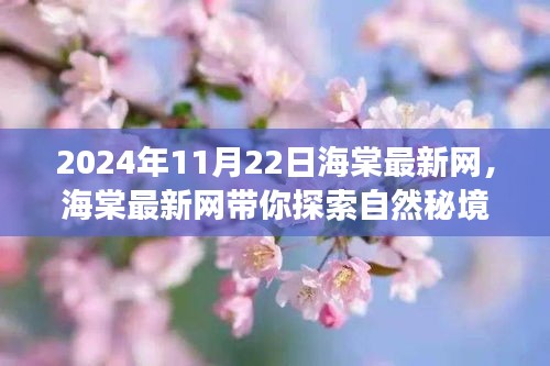 探索自然秘境，海棠最新網(wǎng)帶你開啟心靈之旅