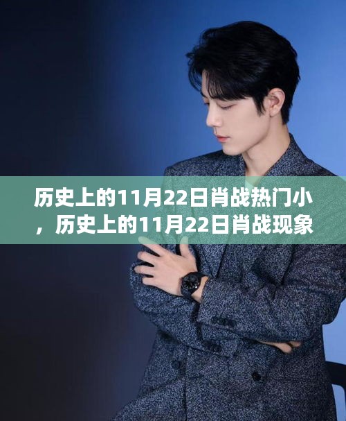 深度解析，歷史上的11月22日肖戰(zhàn)現(xiàn)象背后的多維視角與熱門背后的深度思考