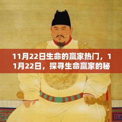 探尋生命贏家的秘訣，揭秘成功背后的秘密，11月22日熱門話題解析