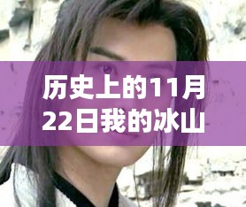 冰山總裁老婆沈浪的炙熱章節(jié)，歷史上的11月22日回顧