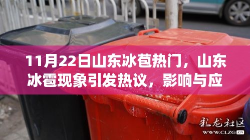 山東冰雹現(xiàn)象引熱議，影響與應(yīng)對之道探討，11月22日山東冰苞成焦點(diǎn)話題