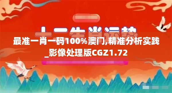 最準(zhǔn)一肖一碼100%澳門,精準(zhǔn)分析實(shí)踐_影像處理版CGZ1.72