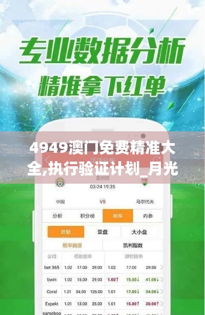 4949澳門免費(fèi)精準(zhǔn)大全,執(zhí)行驗(yàn)證計(jì)劃_月光版SUB1.89