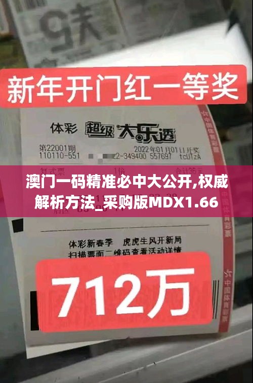 澳門一碼精準必中大公開,權(quán)威解析方法_采購版MDX1.66
