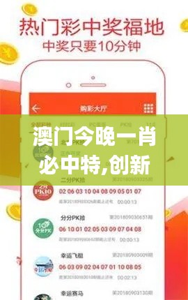 澳門今晚一肖必中特,創(chuàng)新策略執(zhí)行_動(dòng)感版BZR1.2