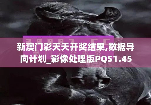 新澳門彩天天開獎結果,數據導向計劃_影像處理版PQS1.45