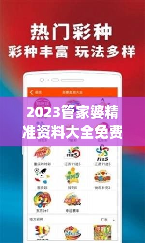 2023管家婆精準(zhǔn)資料大全免費(fèi),全面實施策略設(shè)計_百搭版OBT1.9