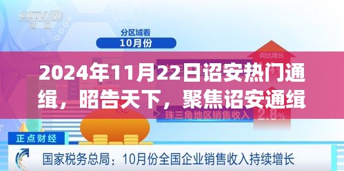 2024年11月22日詔安熱門通緝事件，深度剖析與昭告天下