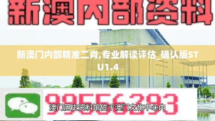 新澳門內(nèi)部精準二肖,專業(yè)解讀評估_確認版STU1.4