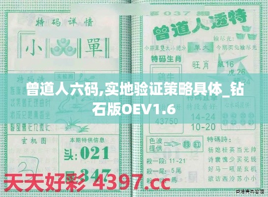 曾道人六碼,實地驗證策略具體_鉆石版OEV1.6