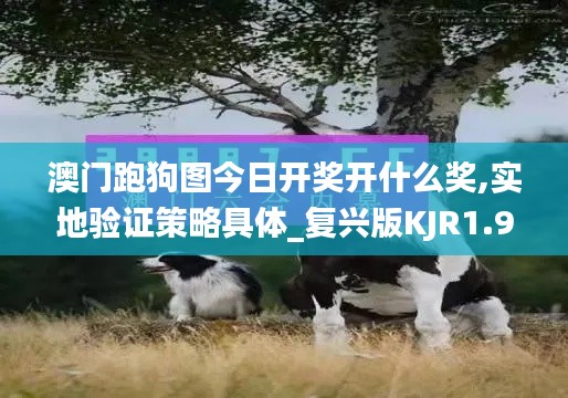 澳門(mén)跑狗圖今日開(kāi)獎(jiǎng)開(kāi)什么獎(jiǎng),實(shí)地驗(yàn)證策略具體_復(fù)興版KJR1.97