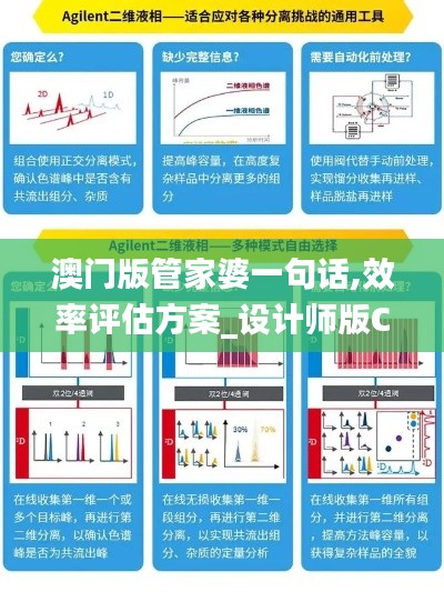 澳門版管家婆一句話,效率評估方案_設計師版CXY1.85