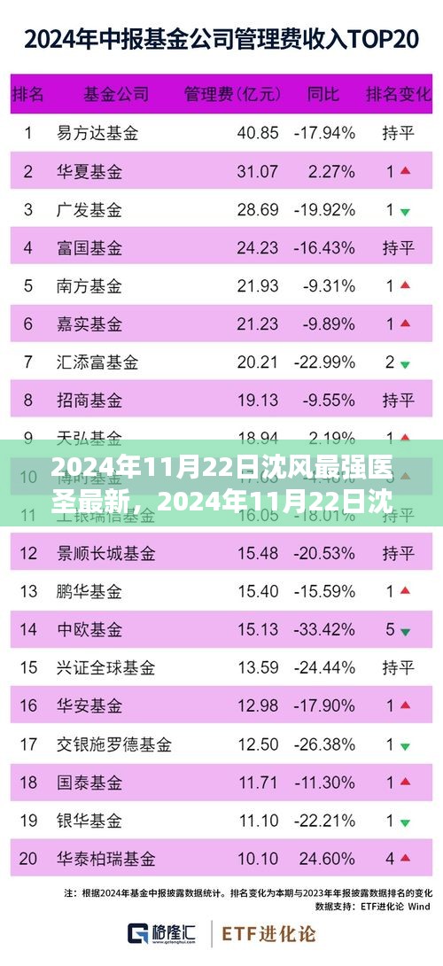 探尋醫(yī)學(xué)巔峰之旅，沈風(fēng)最強(qiáng)醫(yī)圣最新消息（2024年11月22日）