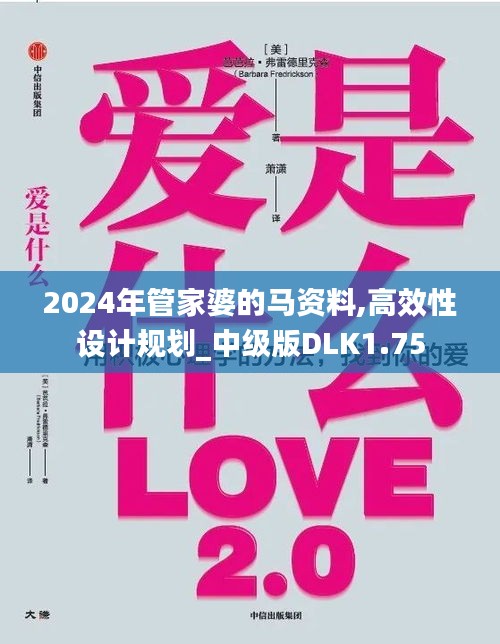 2024年管家婆的馬資料,高效性設(shè)計(jì)規(guī)劃_中級(jí)版DLK1.75