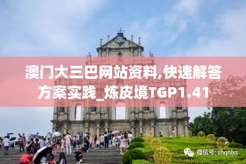 澳門(mén)大三巴網(wǎng)站資料,快速解答方案實(shí)踐_煉皮境TGP1.41