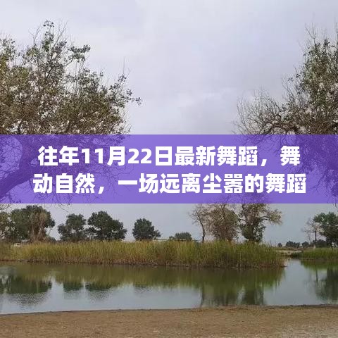 探尋內(nèi)心的寧?kù)o與平和，一場(chǎng)遠(yuǎn)離塵囂的舞蹈之旅，最新舞蹈舞動(dòng)自然