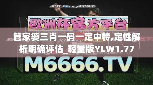 管家婆三肖一碼一定中特,定性解析明確評估_輕量版YLW1.77