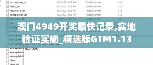 澳門4949開獎最快記錄,實地驗證實施_精選版GTM1.13