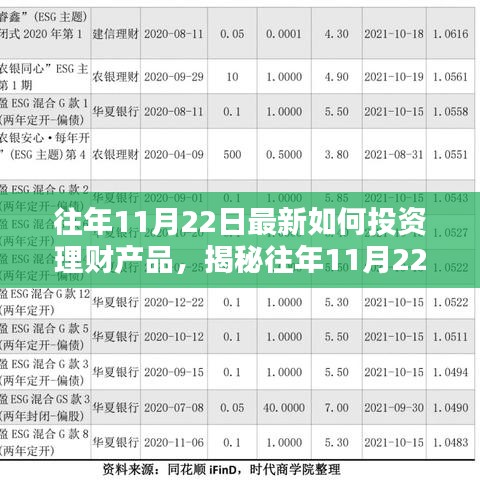 揭秘往年11月22日理財(cái)投資策略，深度解析與專家觀點(diǎn)助你明智選擇理財(cái)產(chǎn)品