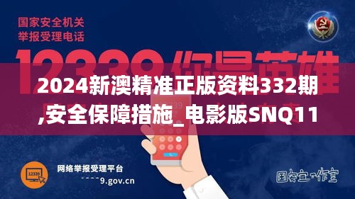 2024新澳精準正版資料332期,安全保障措施_電影版SNQ11.63