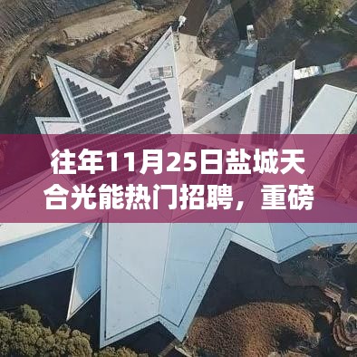 鹽城天合光能歷年招聘盛況揭秘，求職黃金機會，熱門職位大揭秘！
