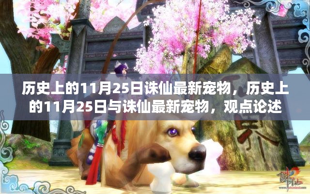 歷史上的11月25日與誅仙最新寵物，深度解析與觀點論述