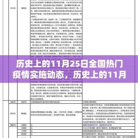 歷史上的11月25日全國熱門疫情實施動態(tài)，歷史上的11月25日全國疫情實施動態(tài)詳解指南