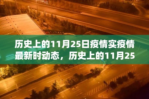 歷史上的11月25日疫情回顧與最新進展洞察，實時動態(tài)回顧與最新疫情進展洞察
