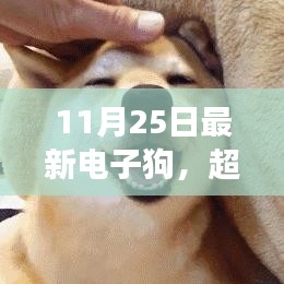 超越自我，最新電子狗體驗(yàn)，與智能伙伴同行，感受變化中的自信與成就感