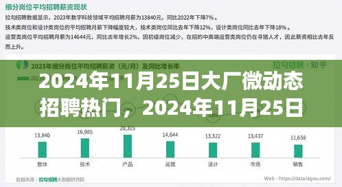 2024年11月25日大廠微動態(tài)招聘熱門解析，特性、體驗、競爭態(tài)勢與用戶需求全面剖析
