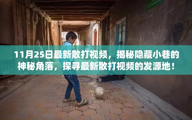 揭秘散打之源，最新視頻探尋小巷神秘角落