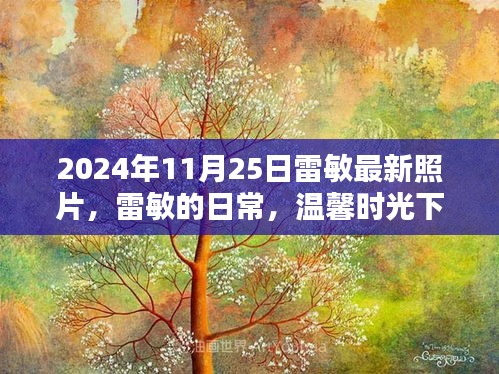 雷敏最新照片曝光，溫馨時(shí)光下的美好瞬間記錄