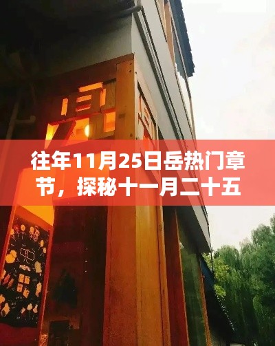 探秘岳巷深處，特色小店的獨(dú)特魅力與十一月二十五日的隱藏瑰寶