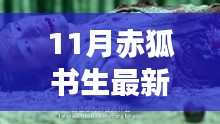 赤狐書(shū)生預(yù)售票房火爆，深度解析與觀點(diǎn)分享