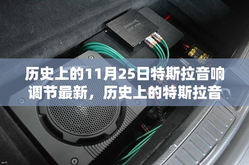 特斯拉音響系統(tǒng)進(jìn)化與最新調(diào)節(jié)指南，從初學(xué)者到進(jìn)階用戶的全面指南（11月25日最新更新）