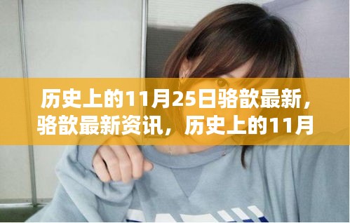 駱歆最新資訊，歷史上的11月25日深度解析與產(chǎn)品特性體驗(yàn)回顧